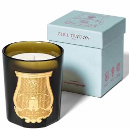 TRUDON Свічка Spiritus Sancti Classic — пахощі