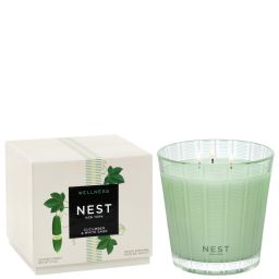 NEST New York Свічка з 3 гніздами «Огірок та біла шавлія»600g